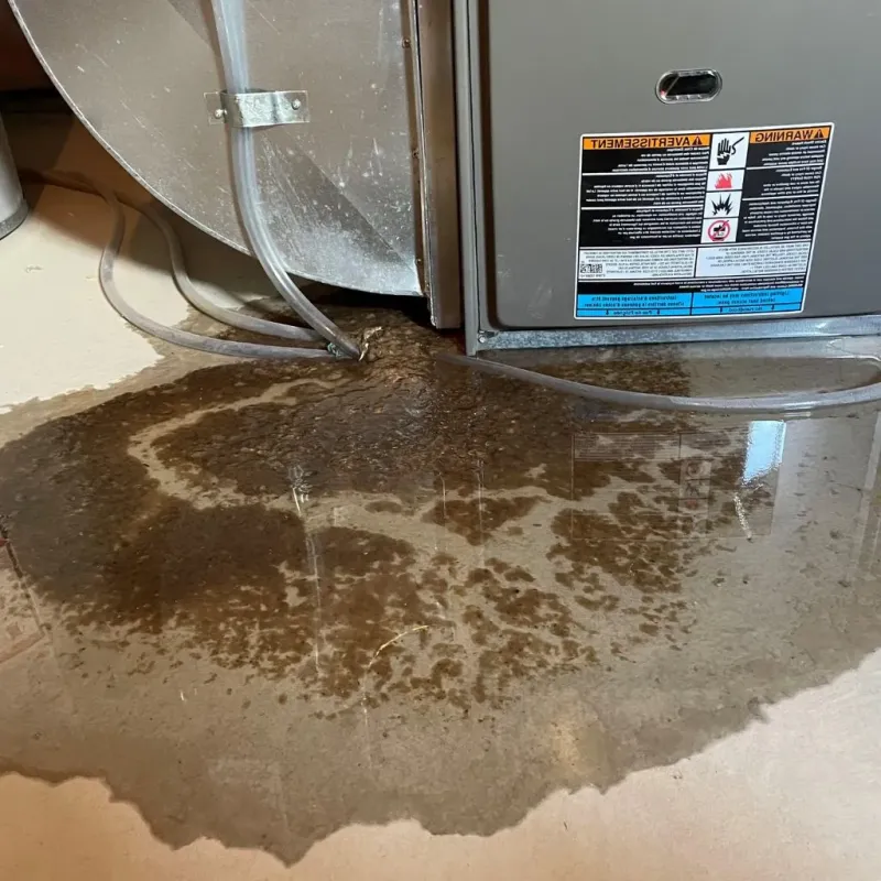 Pipe Burst and Leak Restoration in Carroll County, MD