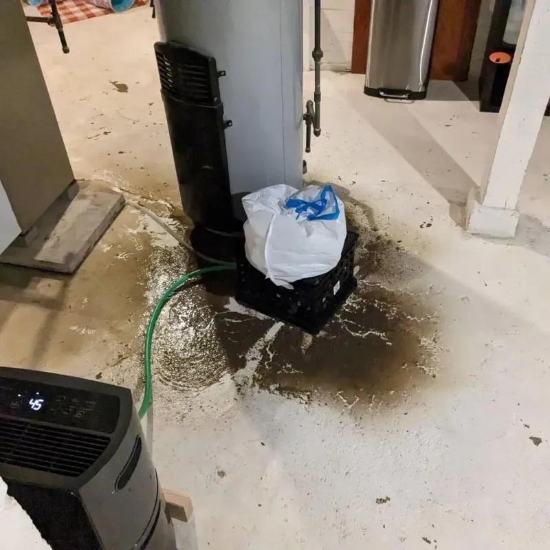 Sewage Backup Cleanup Service in Carroll County, MD